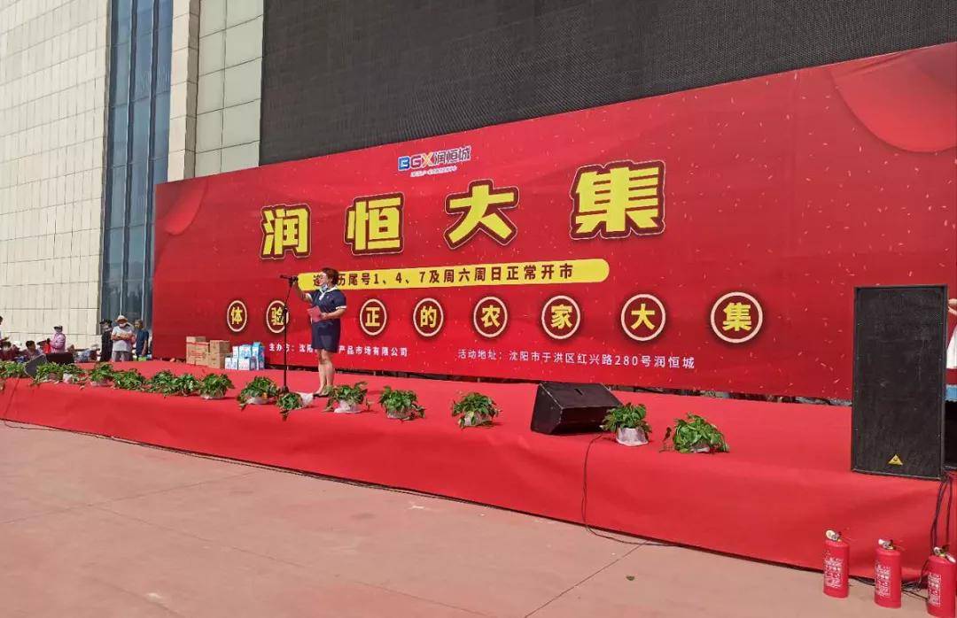 沈陽潤恒城最新動態(tài)，愛的日常故事展現(xiàn)