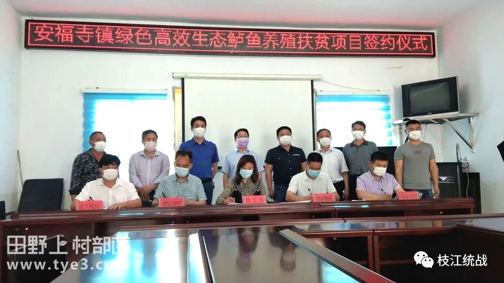 枝江安福寺最新動態(tài),智慧與力量的匯聚之地