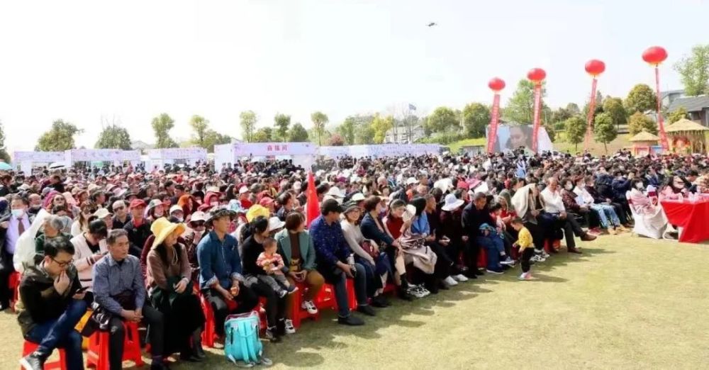 枝江安福寺最新動態(tài),智慧與力量的匯聚之地