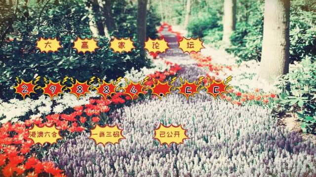 最準一肖一碼100%噢,解析解釋說法_藝術版77.222