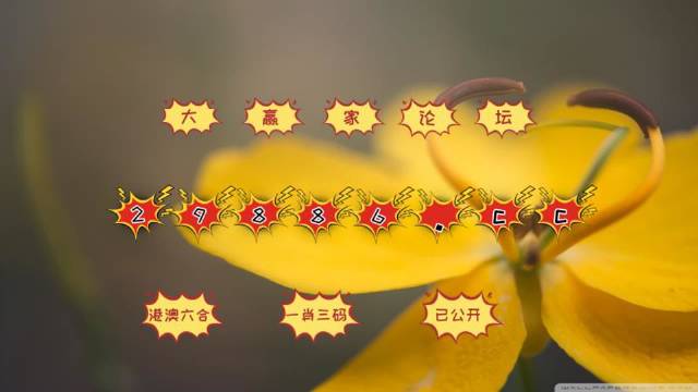 澳門4949開獎結果最快,科技成果解析_體驗版12.784