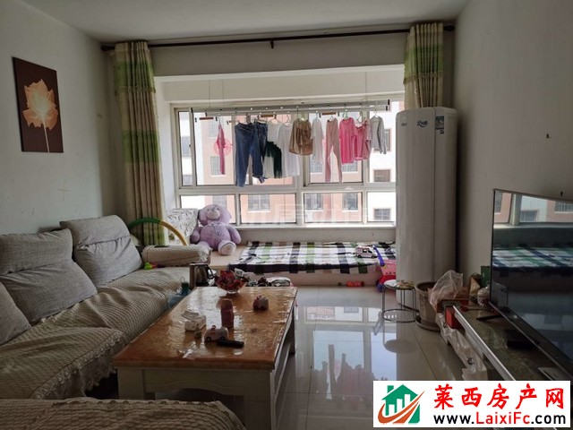 萊西最新個人二手房,小巷深處的隱藏房源探秘