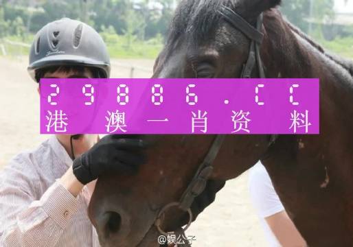 澳門一肖一碼一必中一肖同舟前進(jìn),系統(tǒng)評(píng)估分析_閃電版84.224