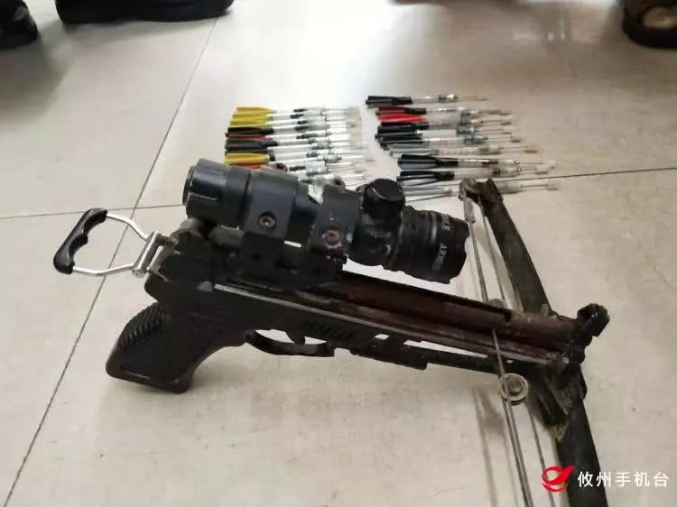 最新款麻醉打狗槍圖片及使用指南全解析