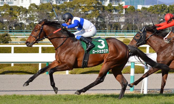 香港6合開獎結果+開獎記錄2023,專家權威解答_結合版96.410