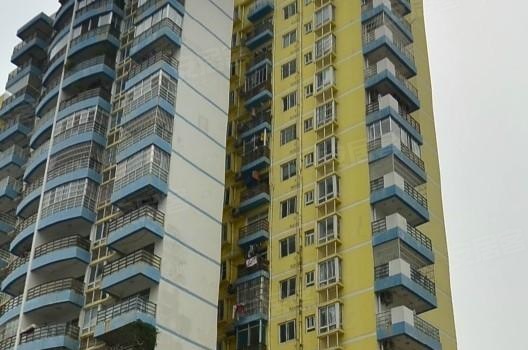 無為濱江駿景啟航新征程，最新動態與夢想成就之路