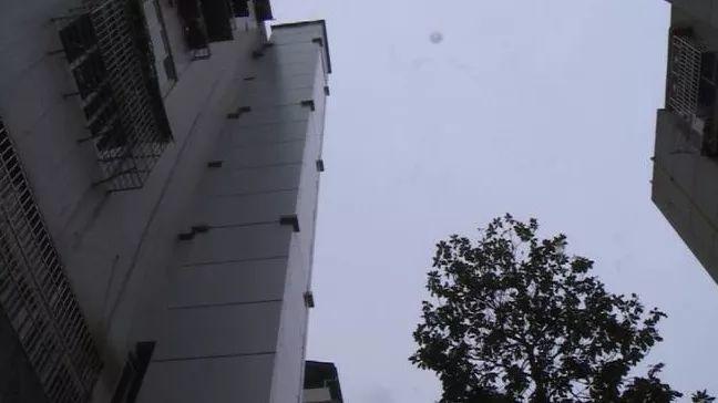 最新交電費系統維護期間,探索自然美景的旅程啟動