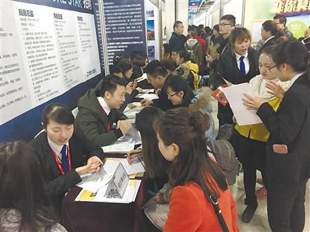 匯博人才市場最新招聘,啟程探索職業與自然的雙重旅行