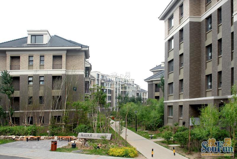 天津七里香格最新動(dòng)態(tài)，城市發(fā)展微觀視角下的個(gè)人立場觀察