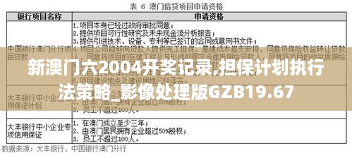 2024新澳門精準資料免費,擔保計劃執行法策略_萬能版68.537