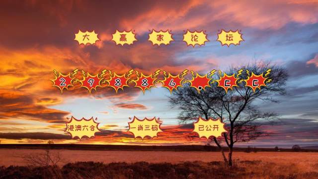 7777788888精準(zhǔn)跑狗圖,數(shù)據(jù)獲取方案_傳達(dá)版18.814