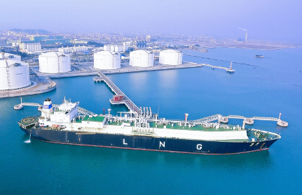 新奧天天免費資料公開,船舶_全景版5.325