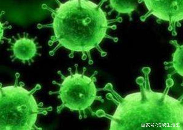 新奧天天精準(zhǔn)資料大全,科學(xué)解釋分析_穩(wěn)定版61.449