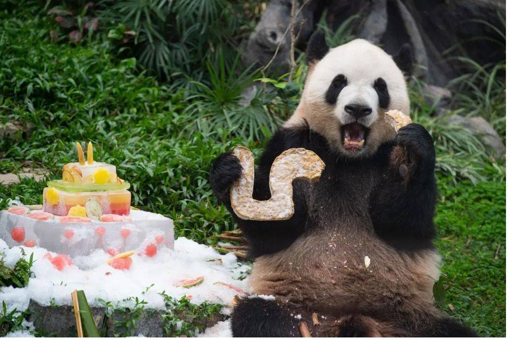 澳門一碼一肖一待一中四不像,快速產(chǎn)出解決方案_運(yùn)動版95.945