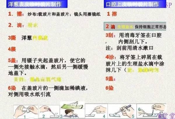 澳門正版資料大全資料生肖卡,處于迅速響應執行_榮耀版77.750
