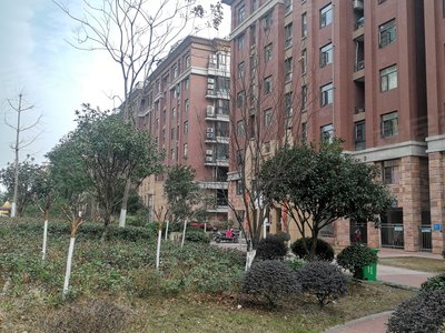 新城壹號五期最新動態揭秘，火熱更新中！