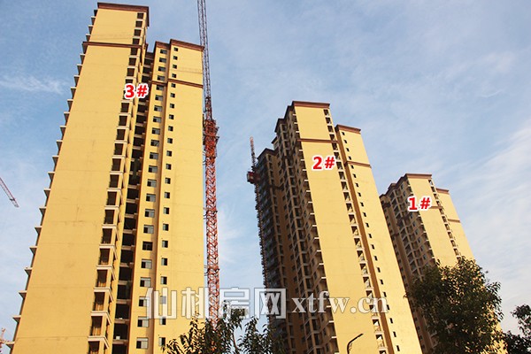 新城壹號五期最新動態揭秘,火熱更新中!