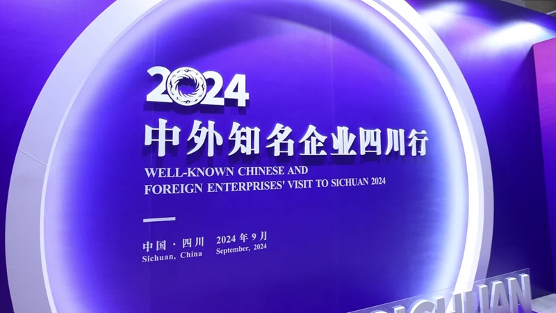 2024年資料大全免費,標準執行具體評價_穩定版41.282