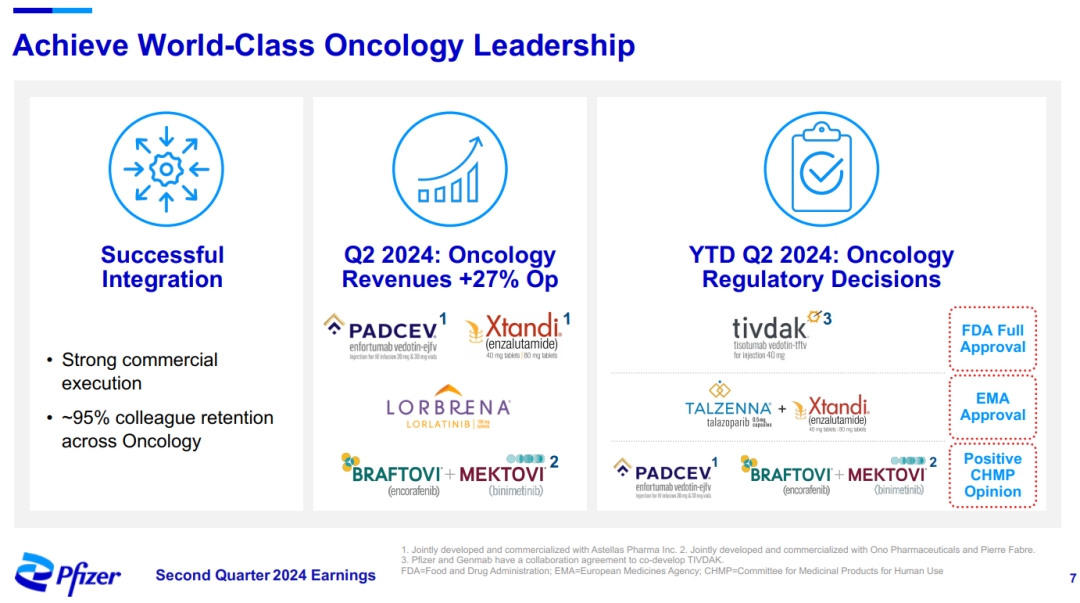 2024年資料大全免費,標準執行具體評價_穩定版41.282