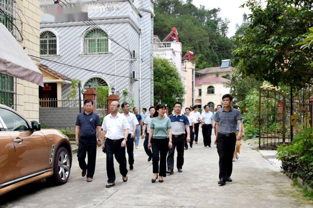 定南徐美清最新動態，溫馨日常的點滴記錄