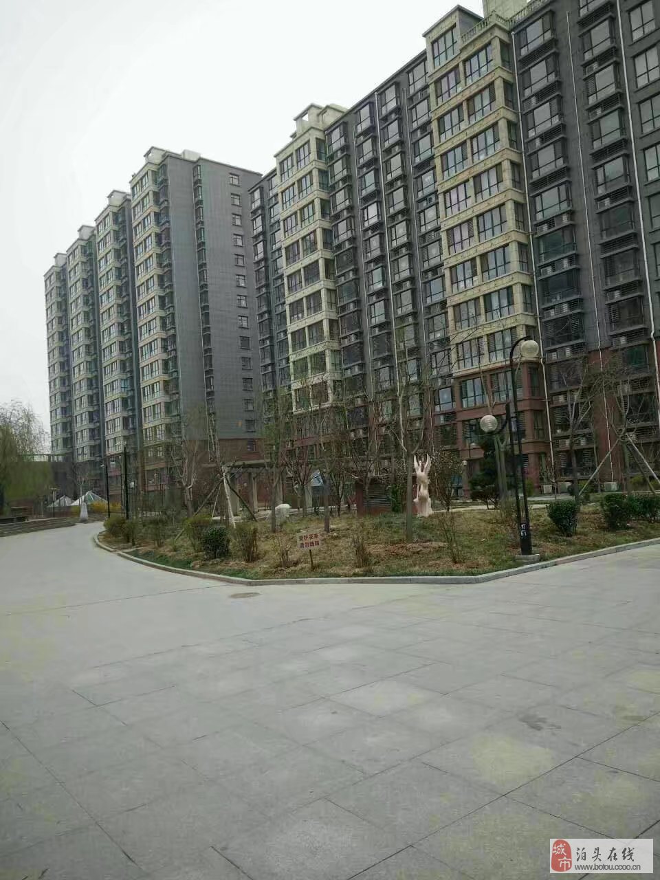 泊頭冀泰麗景最新房價及其背后的故事