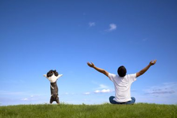 馮曼顧樂,時代之聲的交響與回響最新章節閱讀