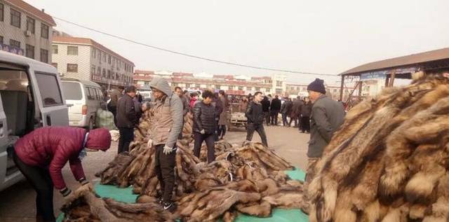 尚村毛皮市場(chǎng)，最新動(dòng)態(tài)與奇遇中的溫暖日常