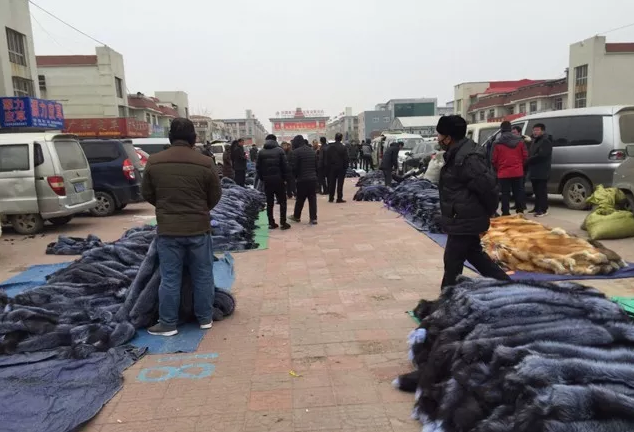 尚村毛皮市場(chǎng),最新動(dòng)態(tài)與奇遇中的溫暖日常