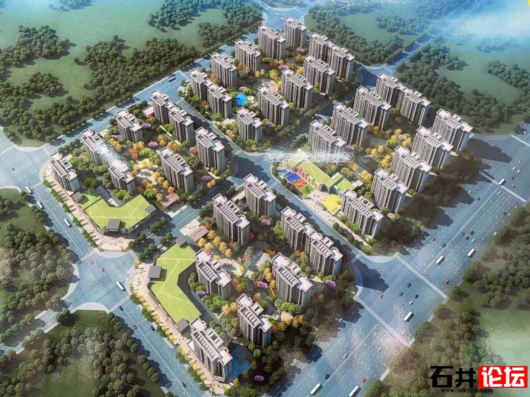 南安石井論壇最新動態(tài)更新