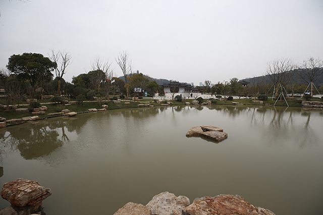 南通森林公園最新動(dòng)態(tài),游玩指南與技能學(xué)習(xí)全攻略