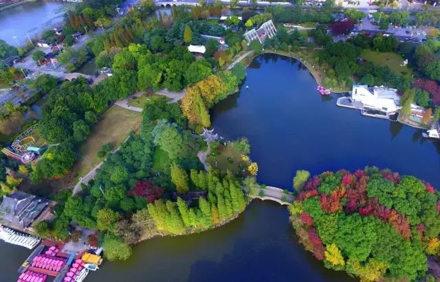 南通森林公園最新動(dòng)態(tài),游玩指南與技能學(xué)習(xí)全攻略