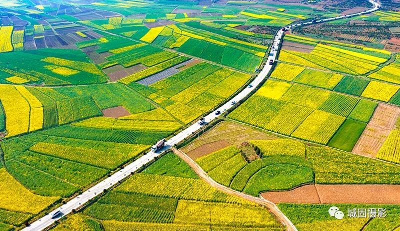 城固貼吧今日熱點速遞，最新消息盡在掌握！