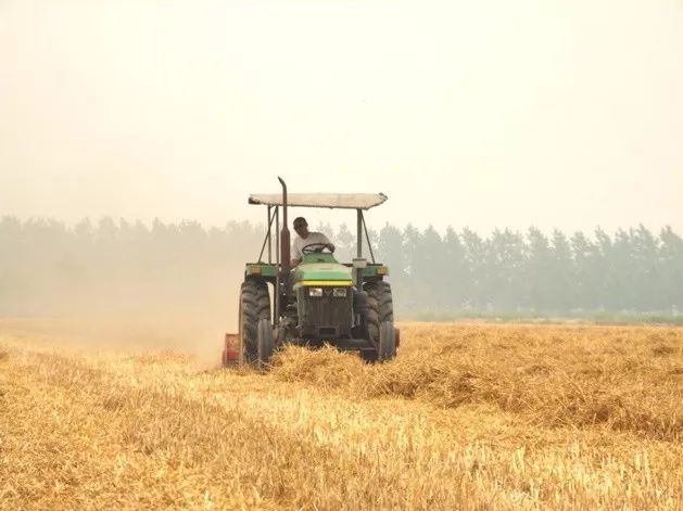 糧食直補最新消息與小巷深處的味覺驚喜