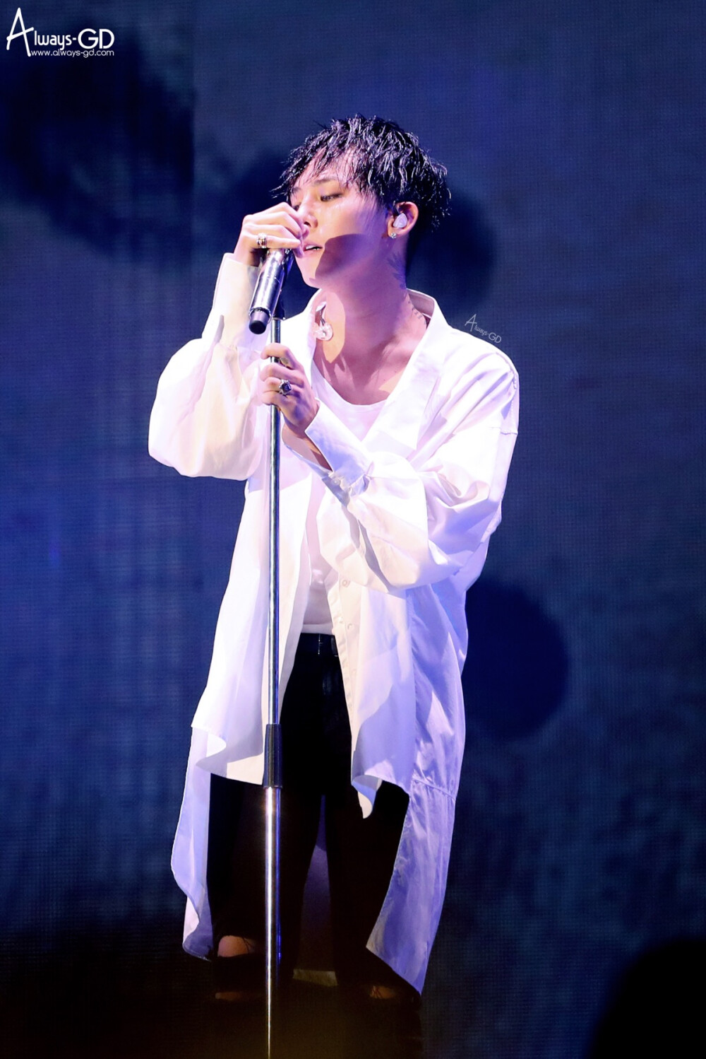 權志龍演唱會視頻,小巷音樂魔法與特色小店探秘