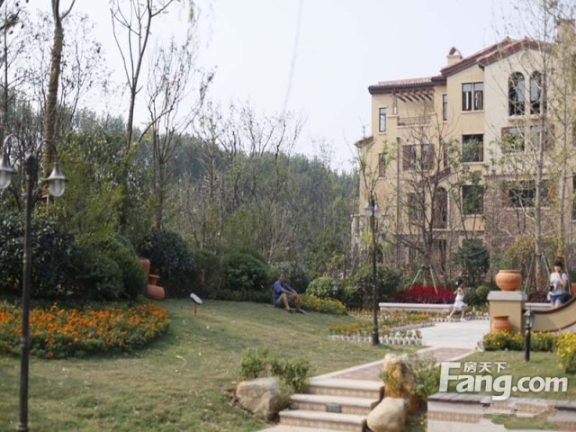 正商玉蘭谷最新動(dòng)態(tài),科技引領(lǐng)生活煥新,前沿消息一覽