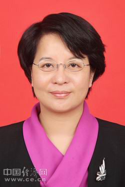 海南省委常委最新名單及其深度解析