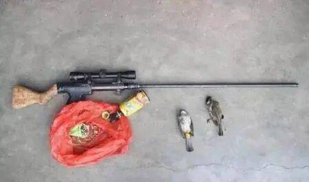 最新手動退殼射釘槍介紹與特點分析