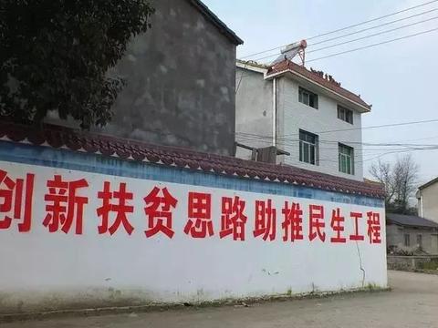 構(gòu)林最新動態(tài),初學(xué)者與進階者的造林技術(shù)指南發(fā)布