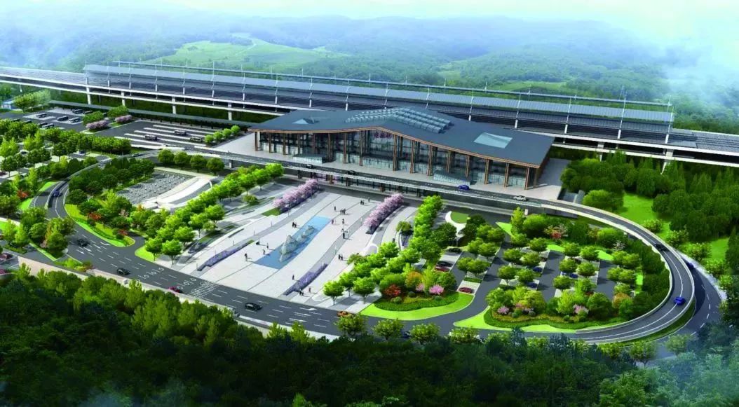 構(gòu)林最新動態(tài),初學(xué)者與進階者的造林技術(shù)指南發(fā)布