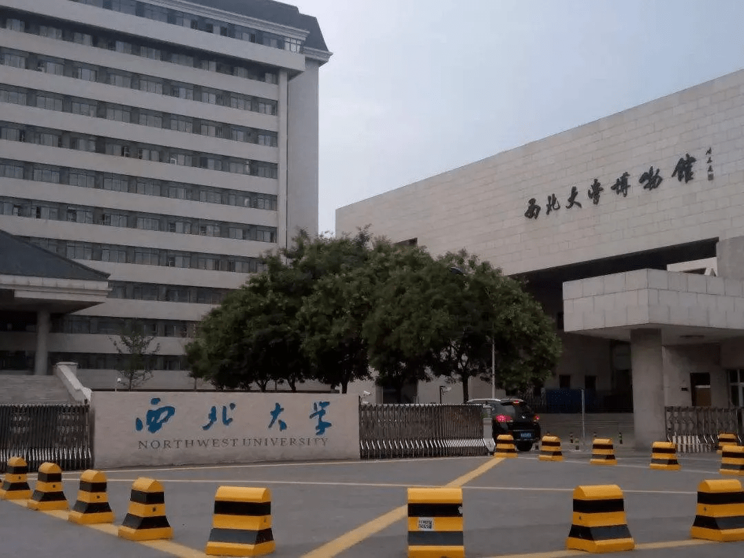 西北大學(xué)最新動態(tài)，小巷深處的獨特風(fēng)情與隱藏瑰寶揭秘