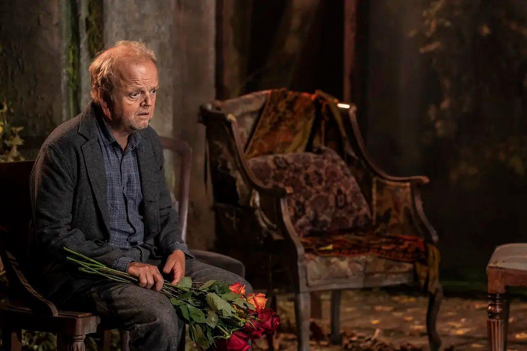 英國疫情最新動態與觀點論述,最新消息解析