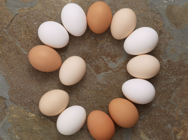 科技革新引領(lǐng)蛋界新潮，雞蛋大漲最新動(dòng)態(tài)揭秘！