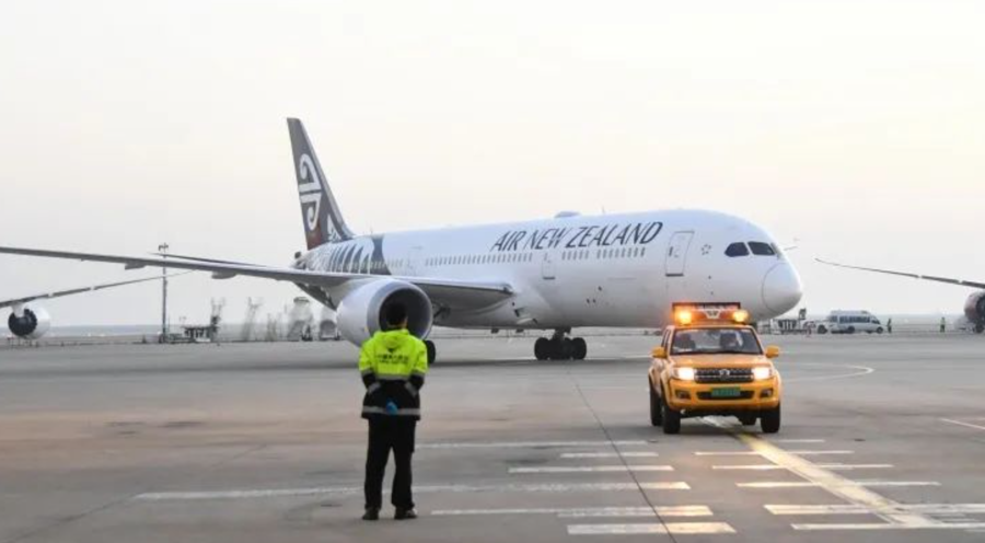 國際航班最新通知阿聯酋更新,航班動態與通知