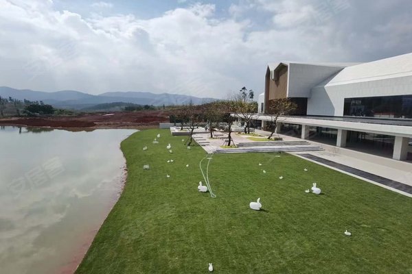 雁來湖小鎮最新動態更新