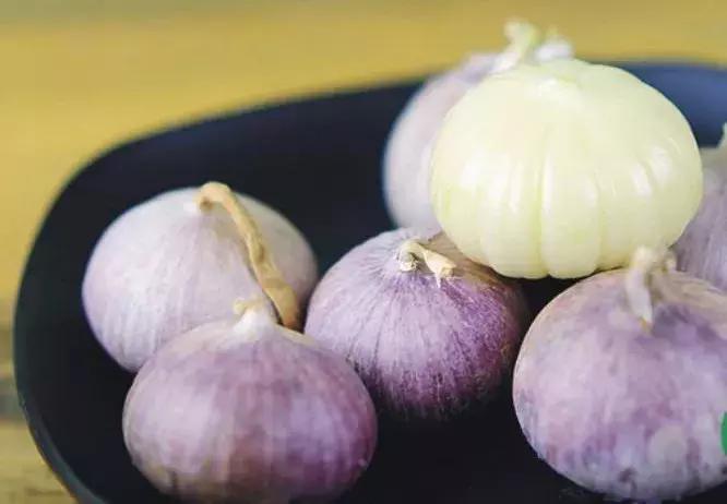 口腔紫皮書最新版，探尋內心平靜的口腔健康之旅