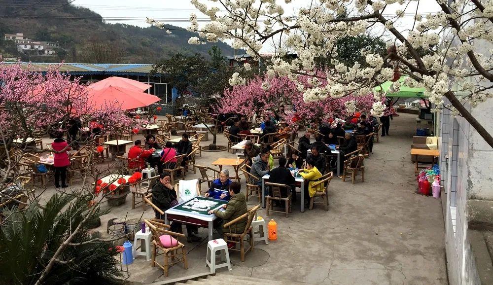 樂看網最新版,一段溫馨有趣的日常故事呈現