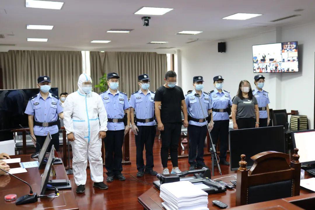 惡勢力認定最新標準下的內心寧靜之旅,大自然美景探尋