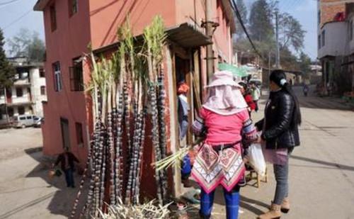 最新五元硬幣演變及其影響,一種深度分析觀點