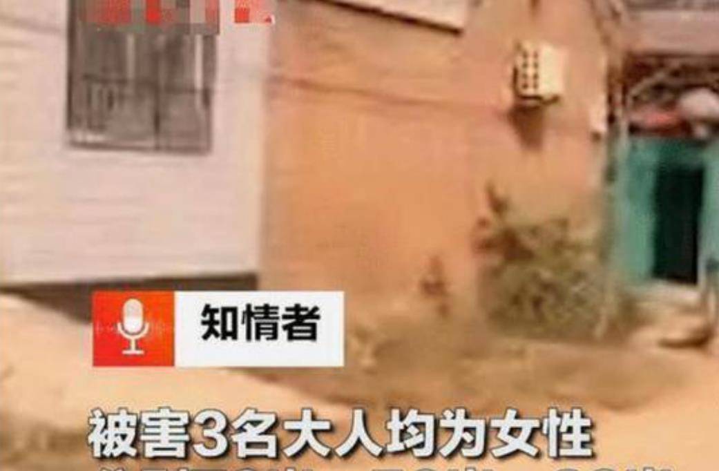 河南原陽(yáng)兇殺案深度分析與觀點(diǎn)闡述，最新進(jìn)展揭秘