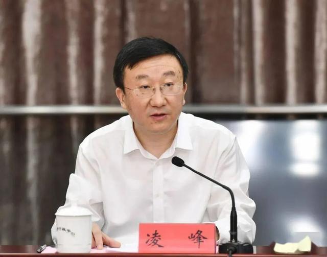 廣西蘇局長最新動態更新，最新情況分析報告